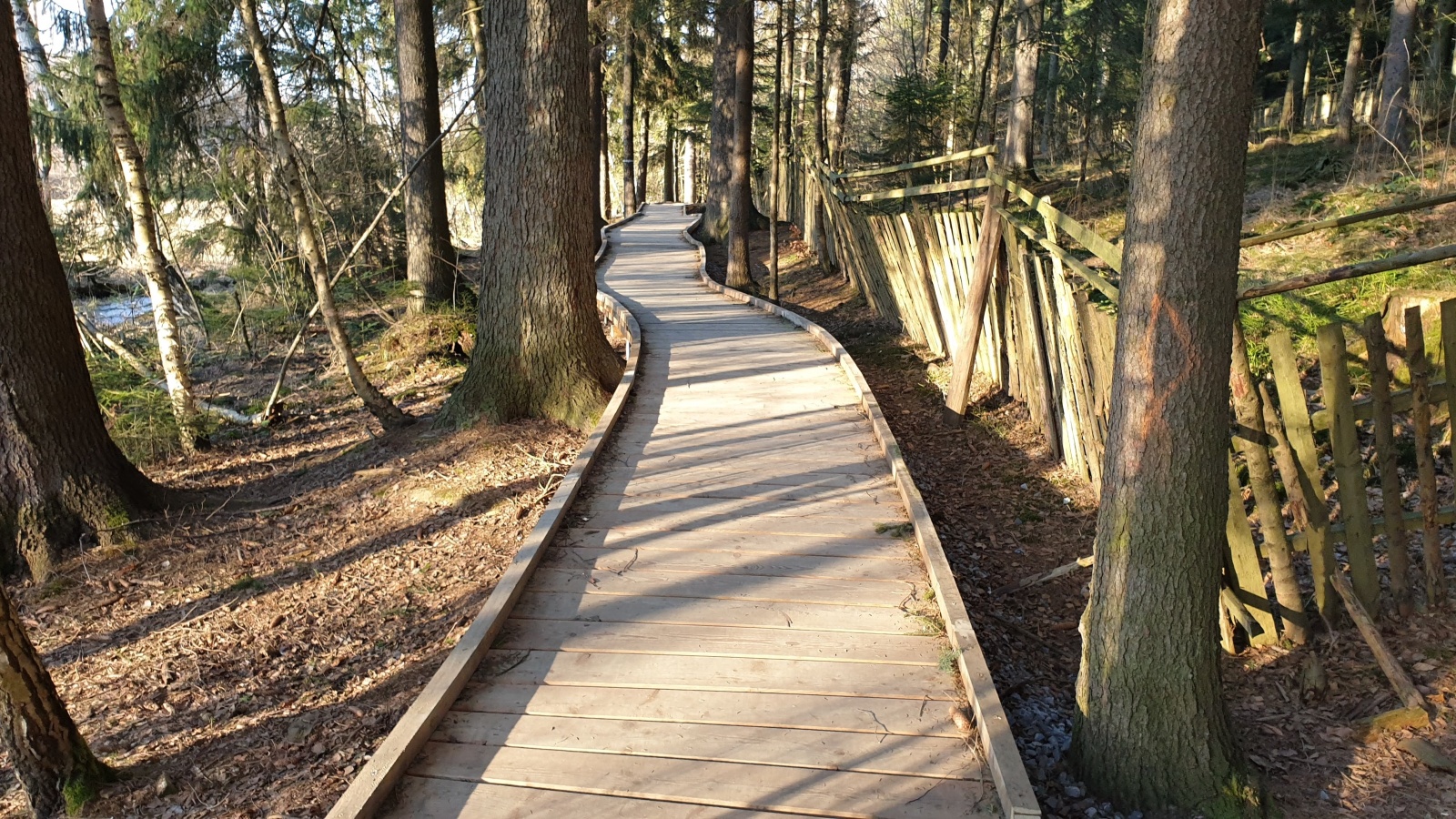 Stezka okolo Konventského rybníka už zase slouží místním i turistům - 1600 x 900 